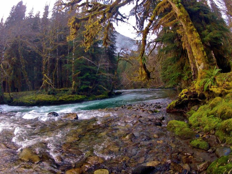 The Six Wilderness Regions of the Olympic Peninsula: An Overview - THE ...