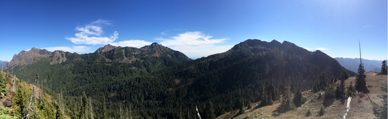 Olympic Inspiration: Cub Peak, A Bear of a Hike in Olympic National ...