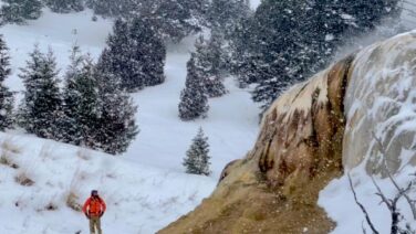 Mammoth Hot Springs Upper Terrace Snowshoe