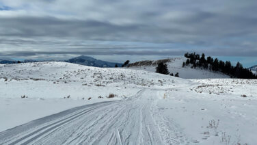 Blacktail Plateau Snowshoe